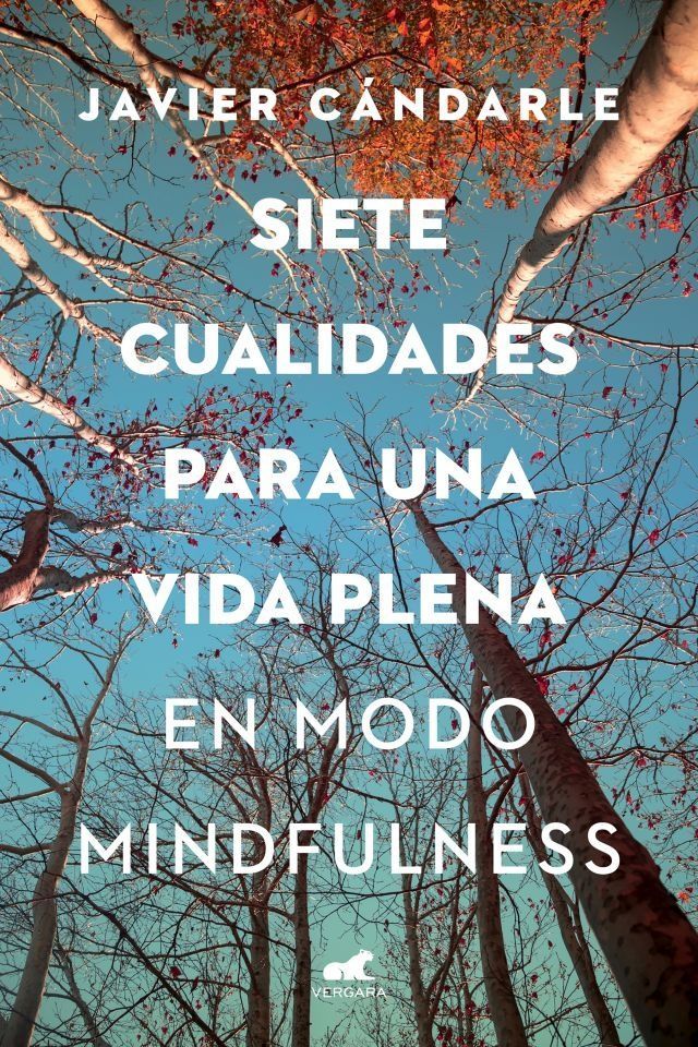 Siete cualidades para una vida plena en modo mindfulness