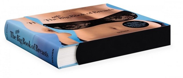 The little big book of breasts