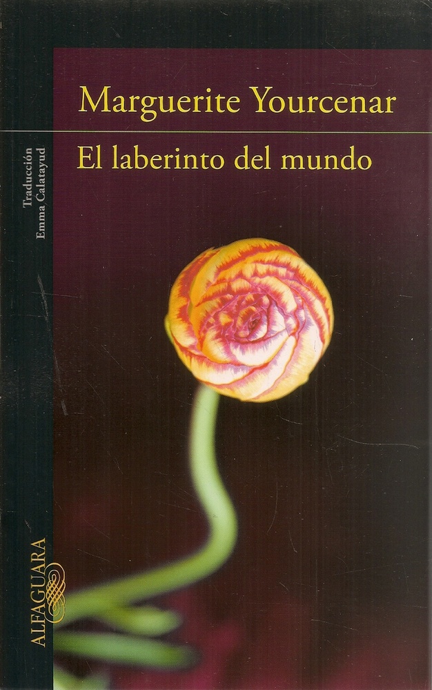 El laberinto del mundo