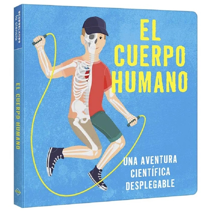 El cuerpo humano