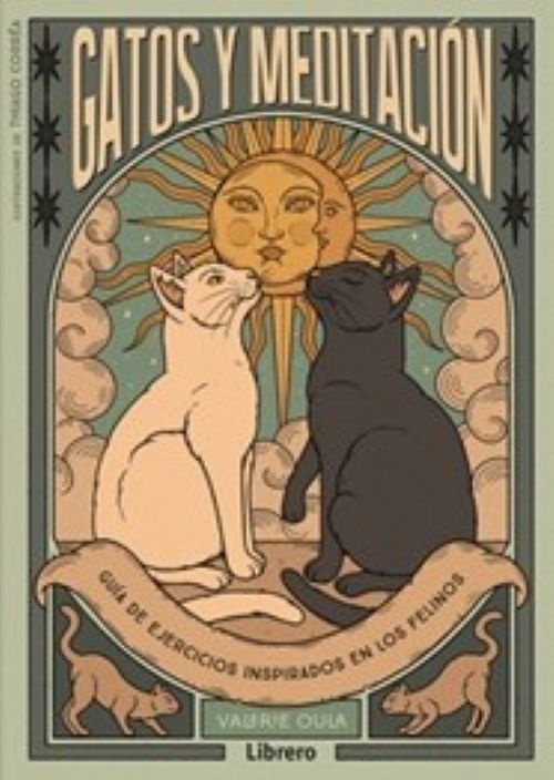 Gatos y meditacion