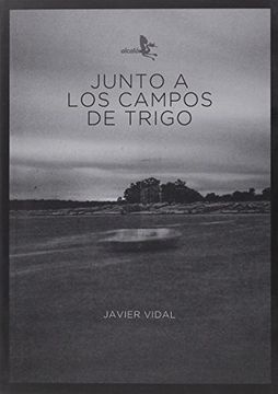 Junto A Los Campos De Trigo