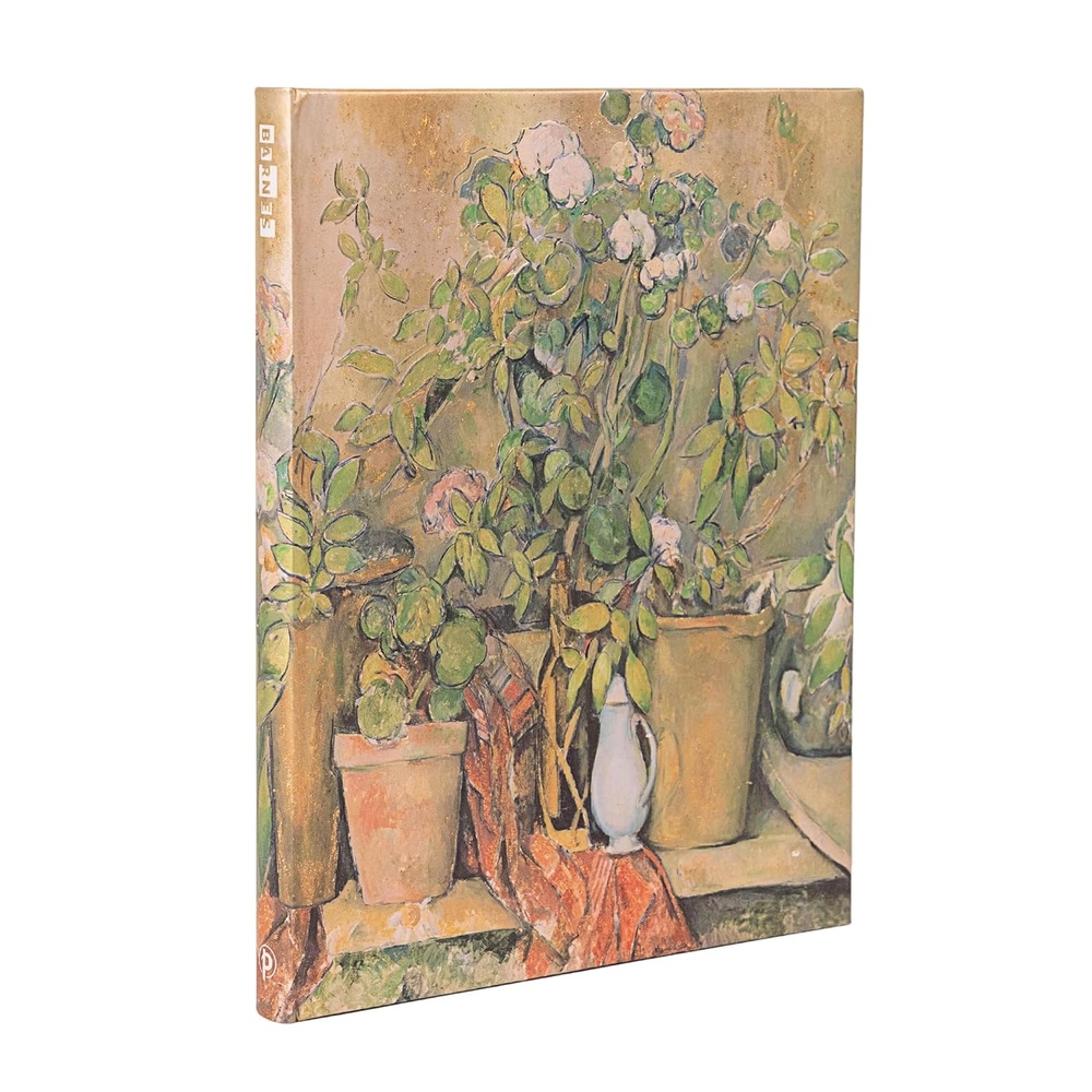 Macetas de terracota y flores de cézanne ultra-rayado
