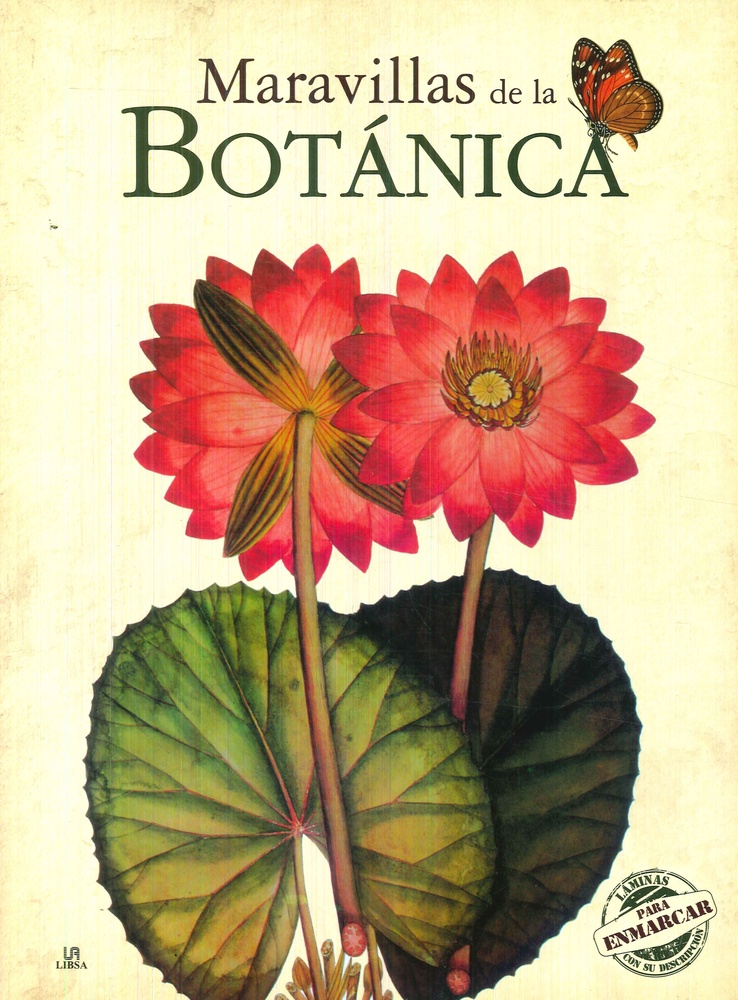 Maravillas de la botanica