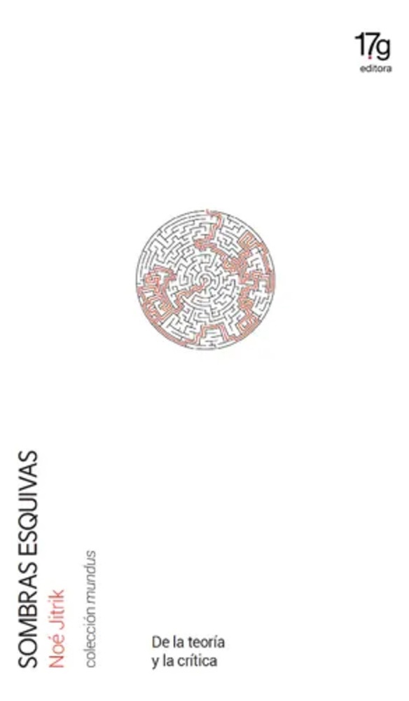 Sombras esquivas. De la teoría y la crítica