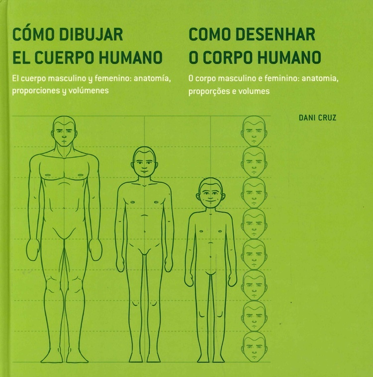 Cuerpo Masculino Y Femenino