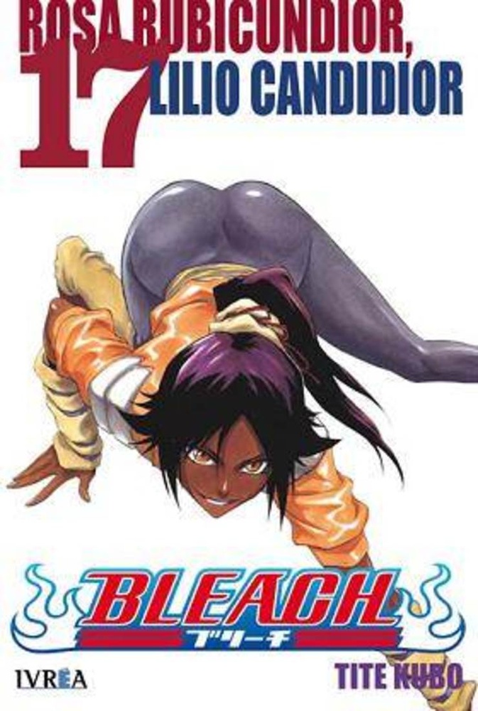 Bleach 17