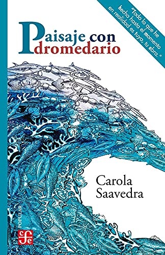 Paisaje con dromedario