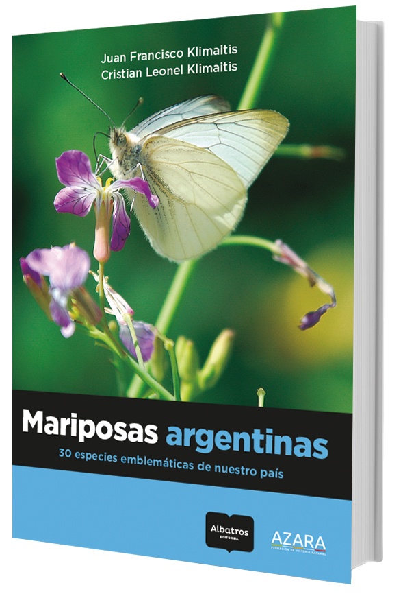 Mariposas argentinas