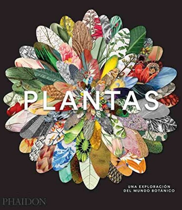 Plantas. Una exploracion del mundo botanico