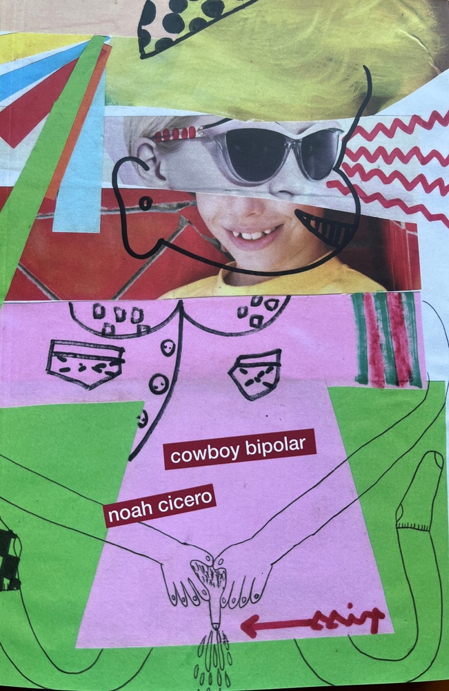 Cowboy bipolar