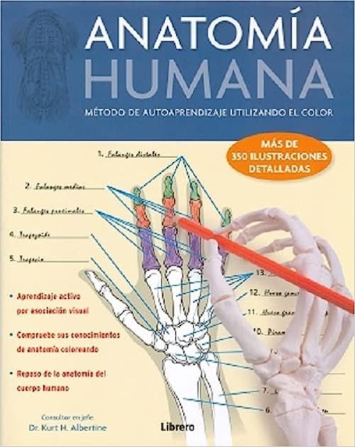 Anatomia humana