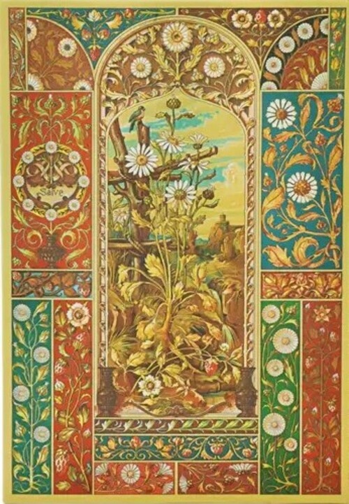 Fragaria vienesa midi-rayado