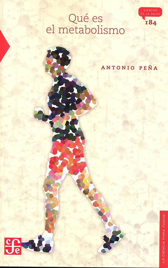 Qué es el metabolismo