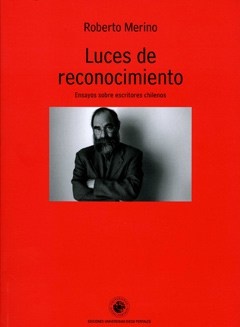 Luces de reconocimiento