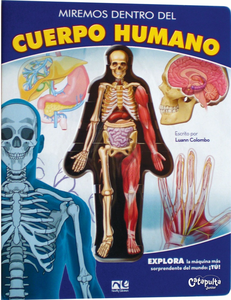 Miremos dentro del cuerpo humano