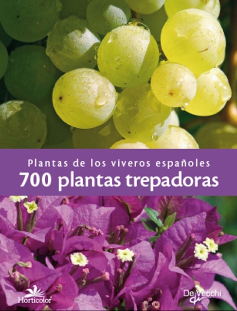 700 plantas trepadoras