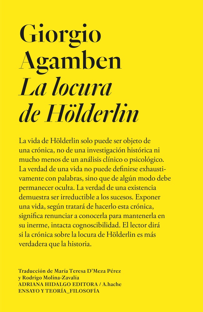 La locura de Holderlin