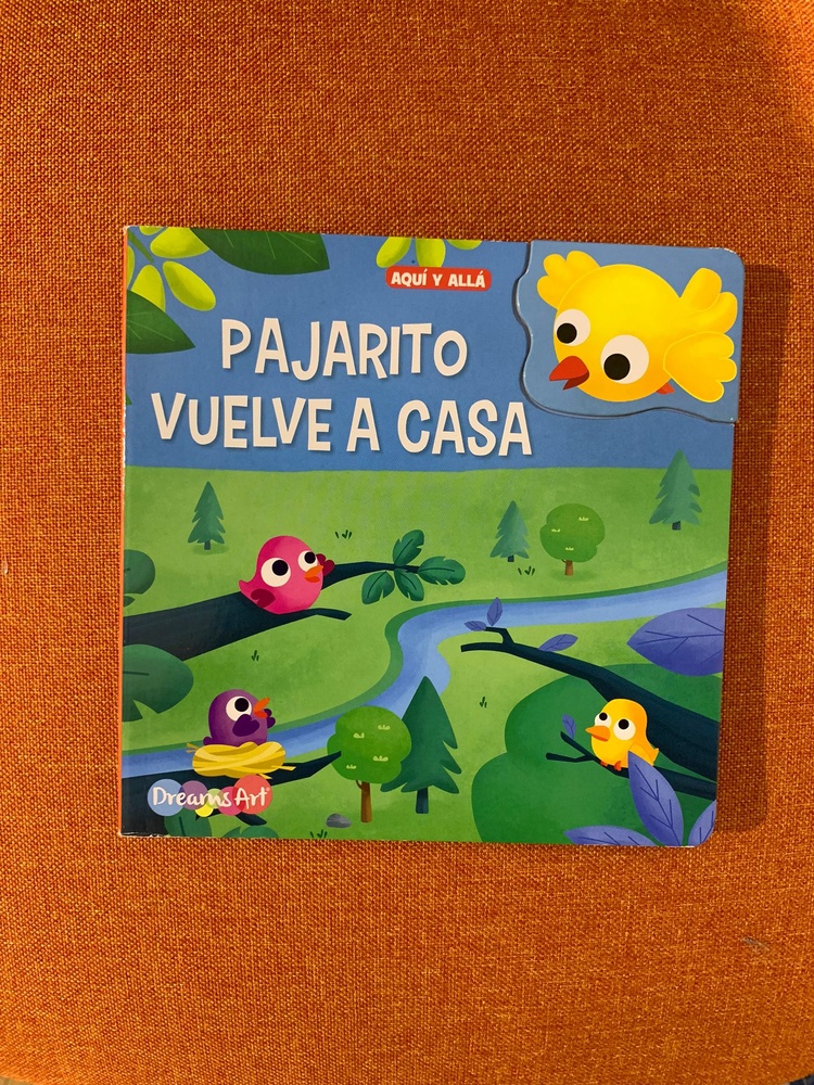 Pajarito vuelve a casa