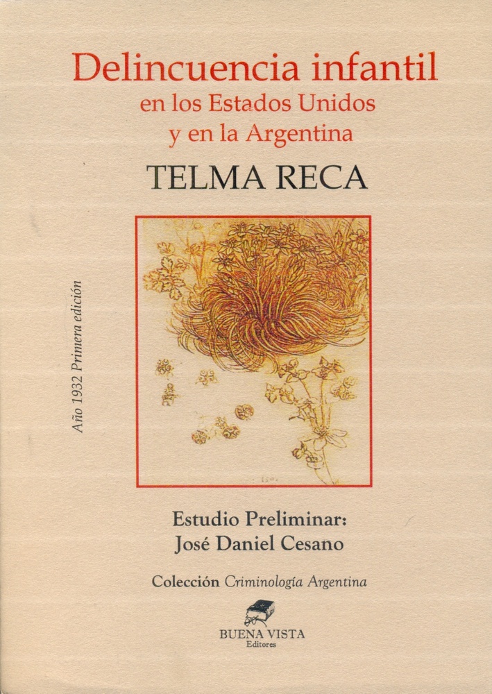 Delincuencia Infantil