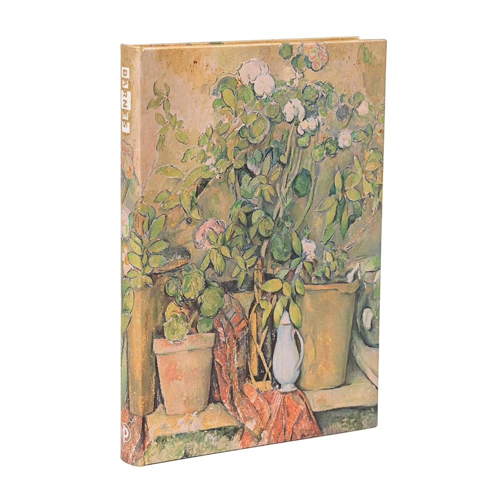 Macetas de terracota y flores de cézanne midi-liso