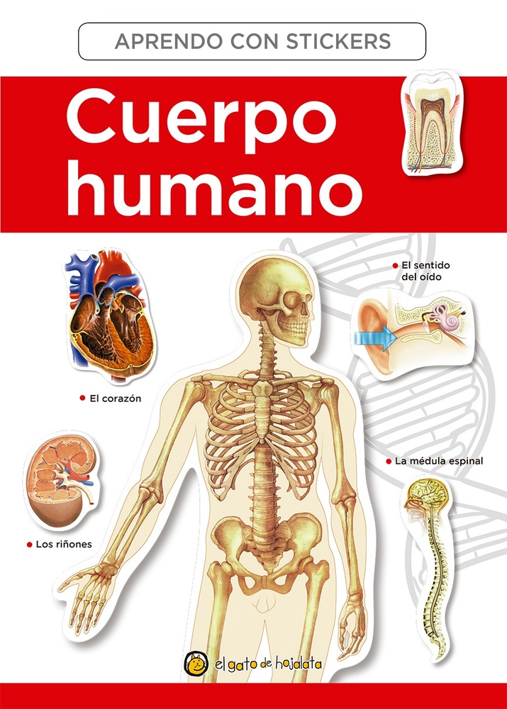 Cuerpo Humano