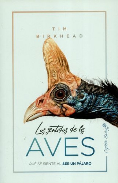 Los sentidos de las aves