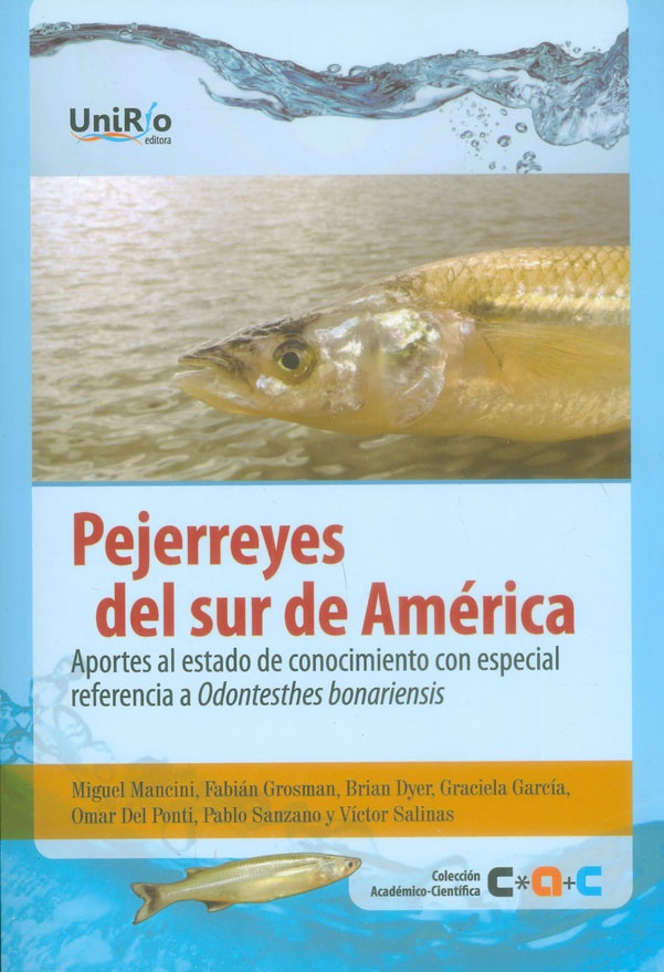 pejerreyes del sur de América