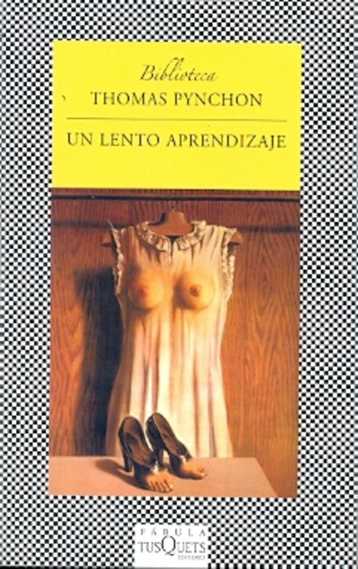 Un lento aprendizaje