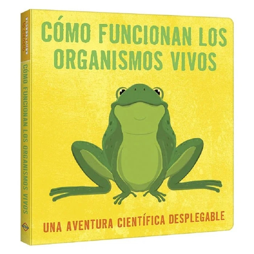 Como funcionan los organismos