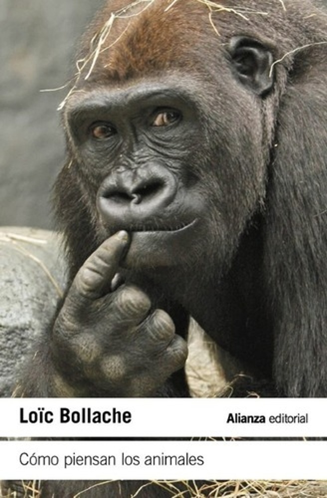 Como piensan los animales