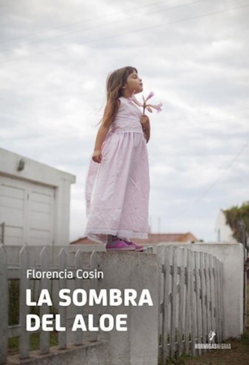 La sombra del aloe