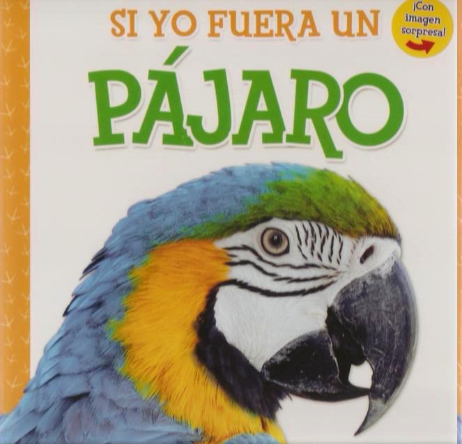 Si yo fuera un pajaro