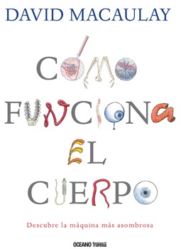 Como Funciona El Cuerpo