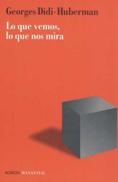 Lo que vemos, lo que nos mira