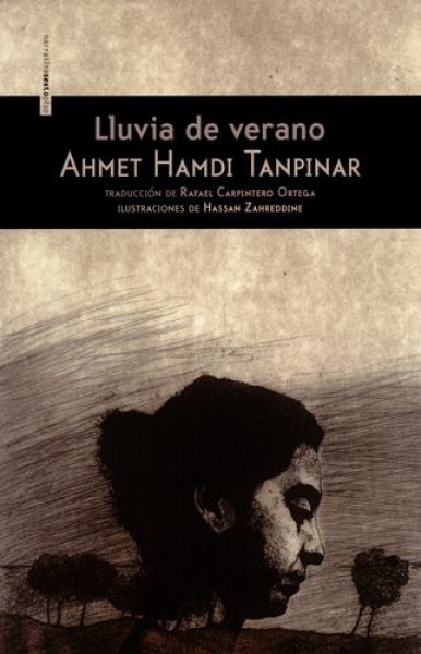 Lluvia De Verano