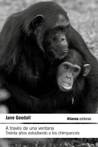 A través de una ventana: treinta años estudiando a los chimpancés