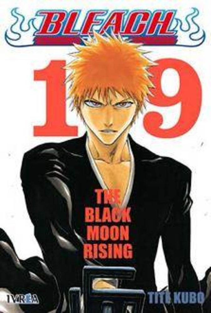 Bleach 19