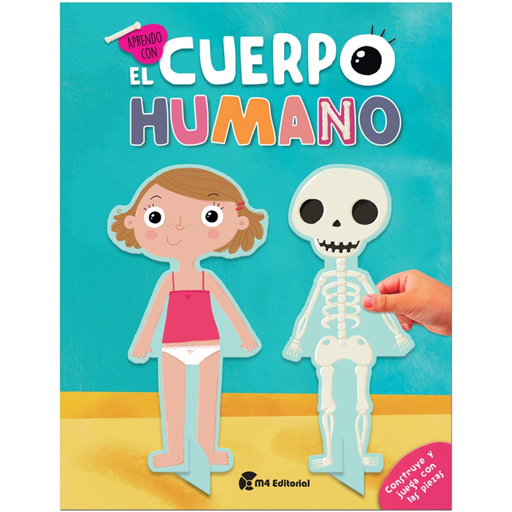 Cuerpo Humano , Construye