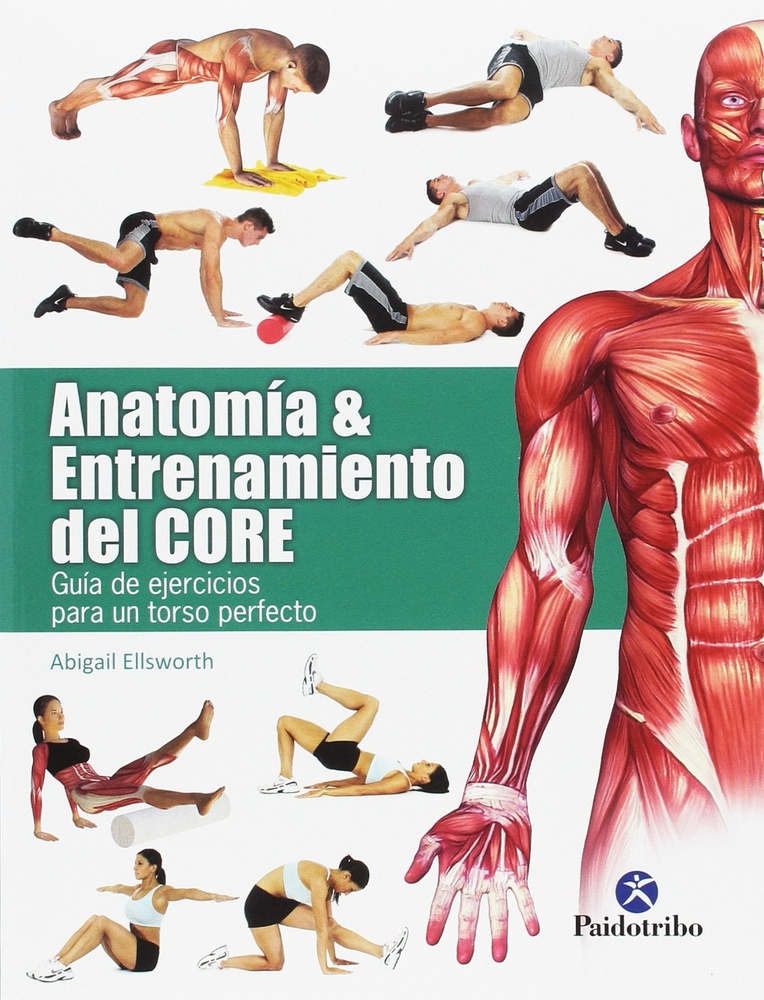 Anatomía Y Entrenamiento Del Core