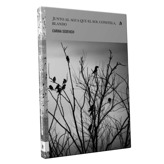 Junto al agua que el sol constela, blando