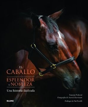 El caballo. Esplendor y nobleza
