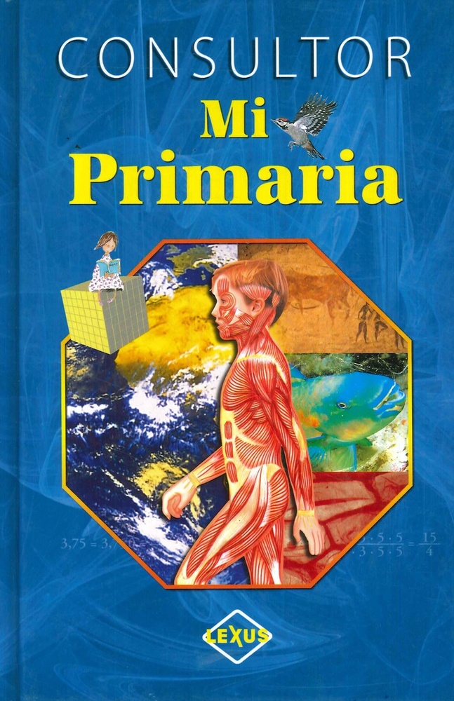 Consultor mi primaria