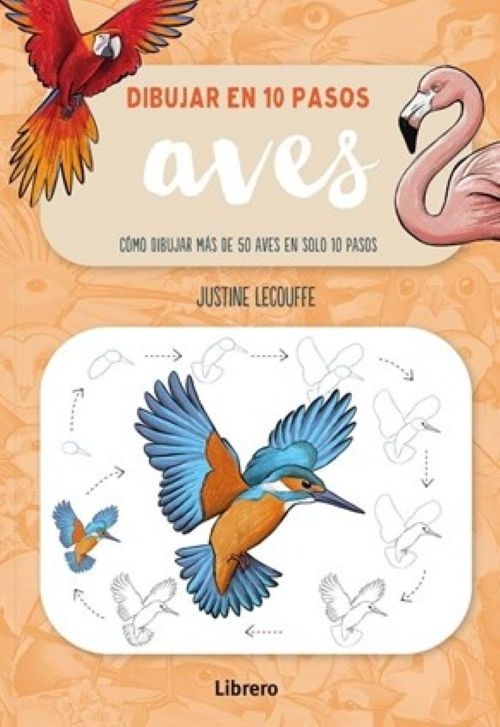 Dibujar aves en 10 pasos