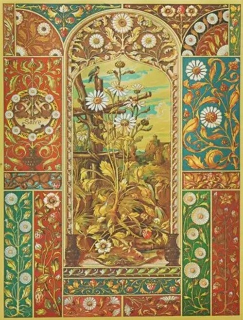 Fragaria vienesa ultra-rayado