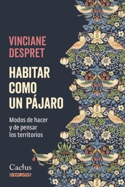 Habitar como un pajaro