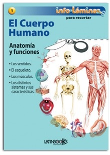 Cuerpo humano, El (1)