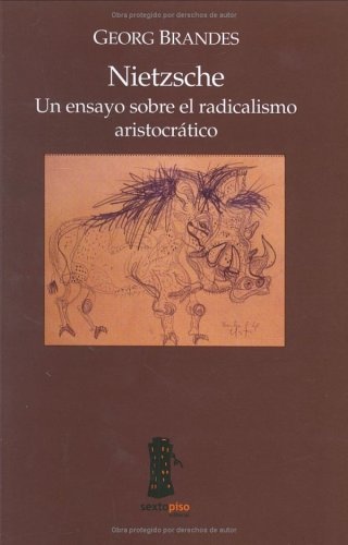 Nietzsche Un Ensayo Sobre El Radicalismo