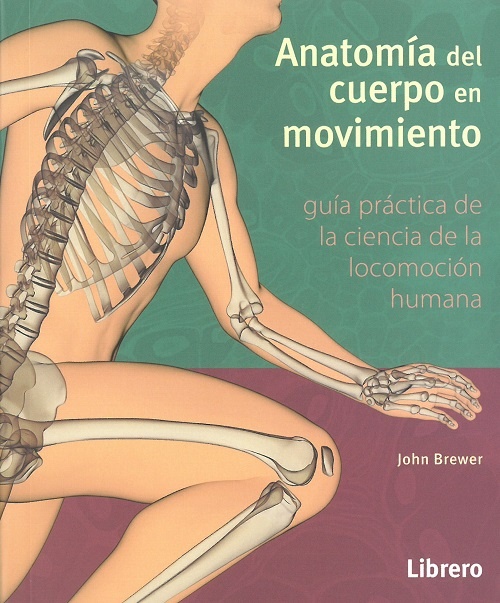 Anatomia del cuerpo en movimiento