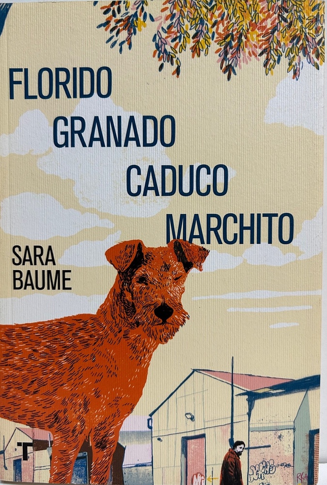 Florido granado caduco marchito